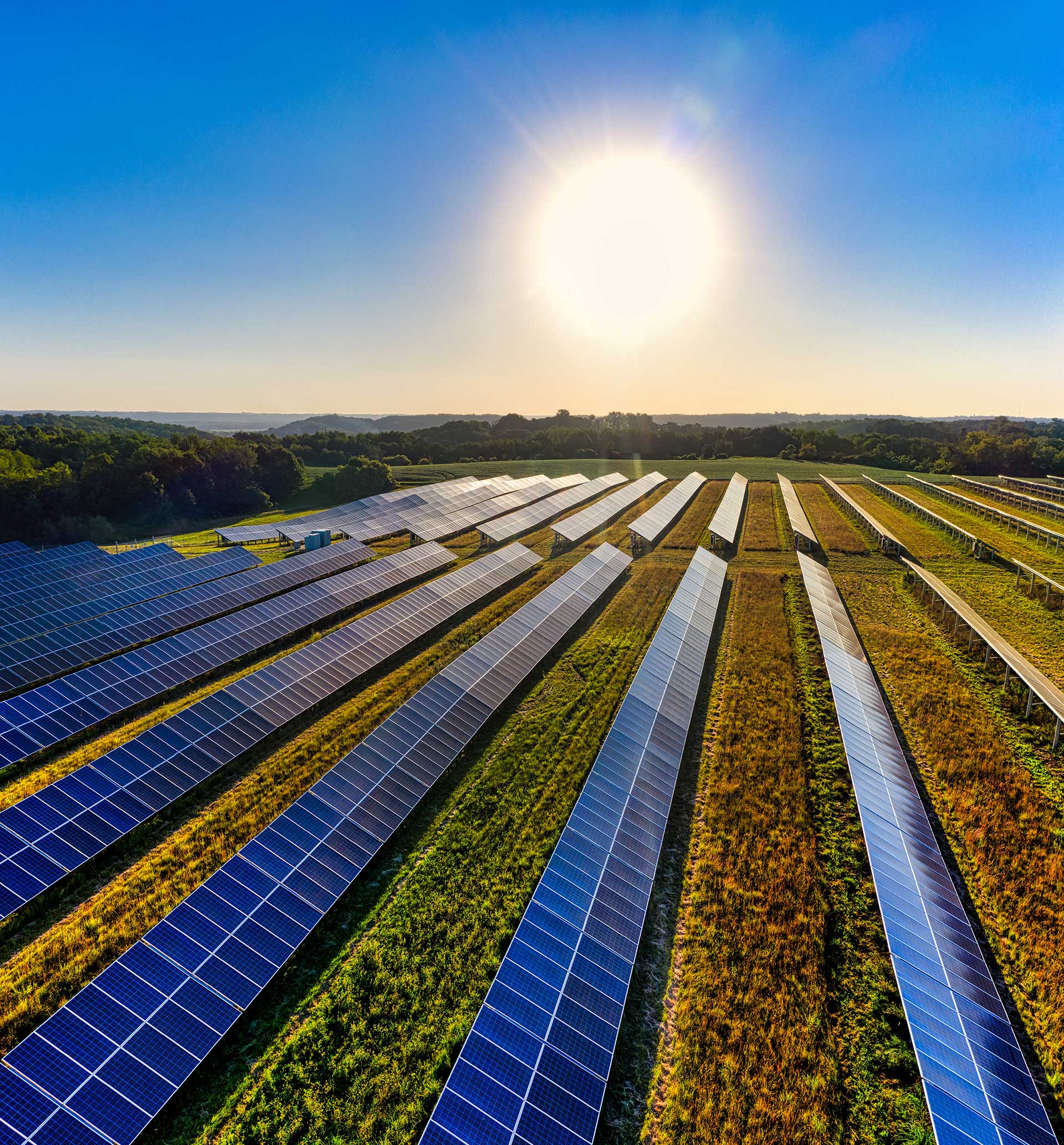 Shasta Power Homepage Solar Farm