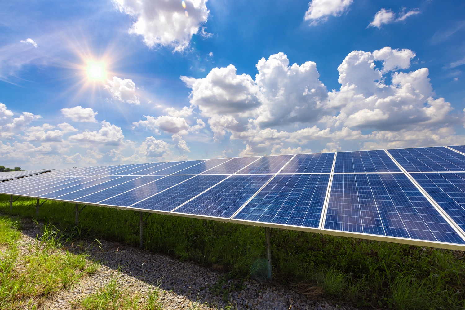 How Solar Investing Can Be Positive for Everyone close year green office