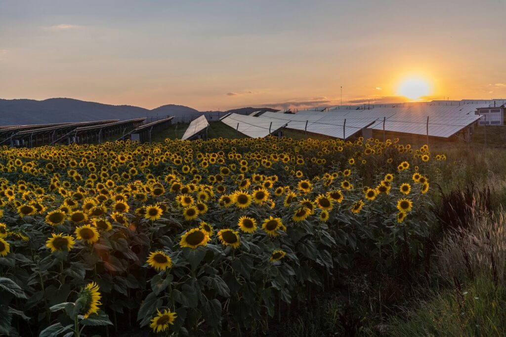 How Much Money Can A Solar Farm Make For Landowners Education