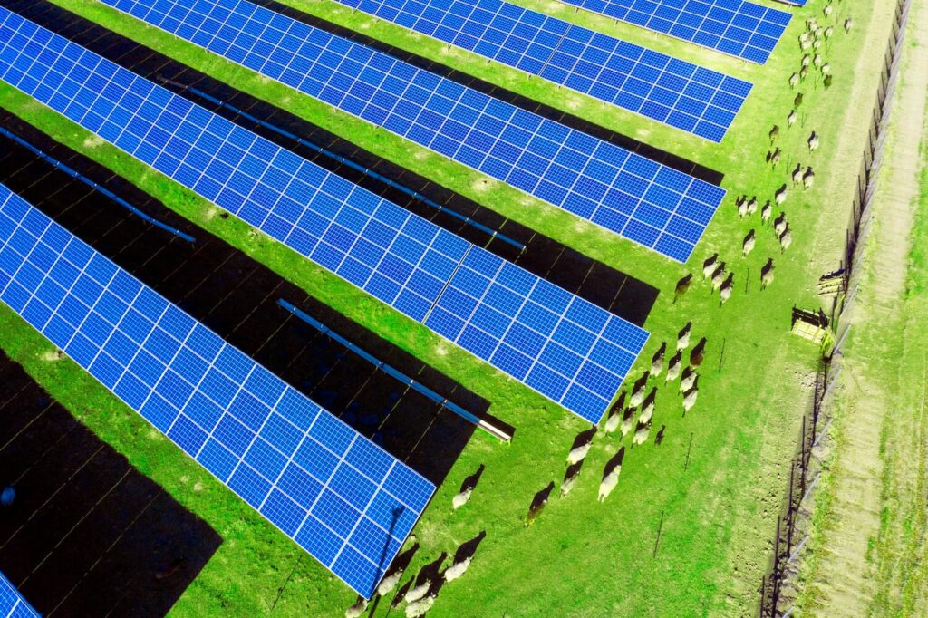 What Happens to a Solar Farm After Its Useful Life?