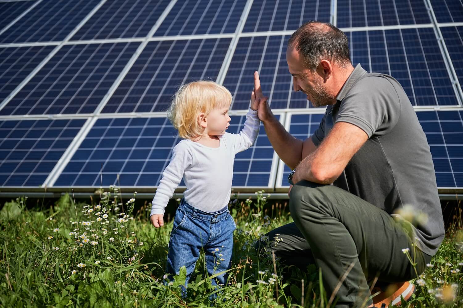 How Do Solar Farms Make Money Shasta Power